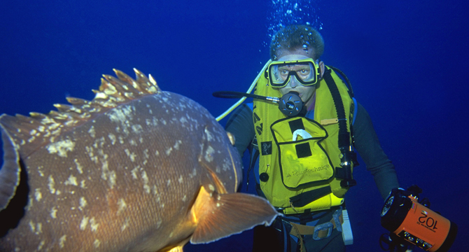 Fantastische Meereswelt - mit der Kamera unter Wasser